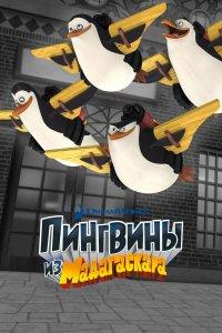 Пингвины из Мадагаскара 1,2,3 сезон